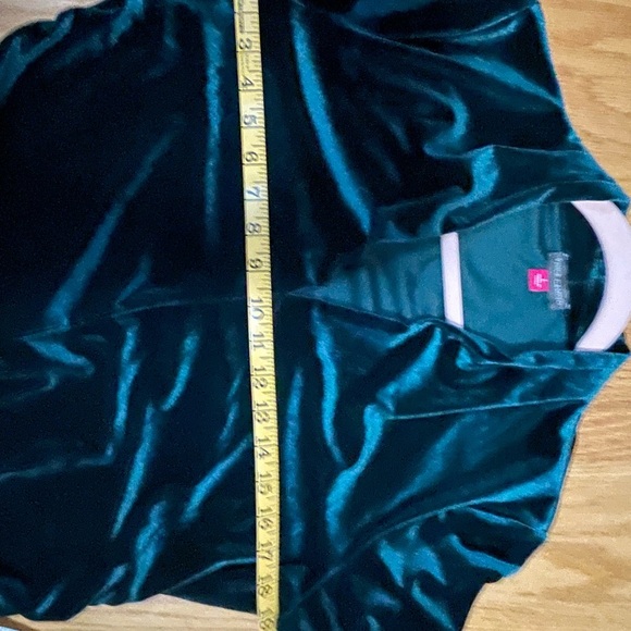 Luxurious Vince Camuto Dark Green Velvet Tunic - Picture 7 of 7